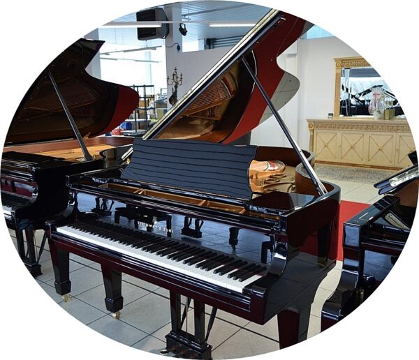 Steinway S Sons