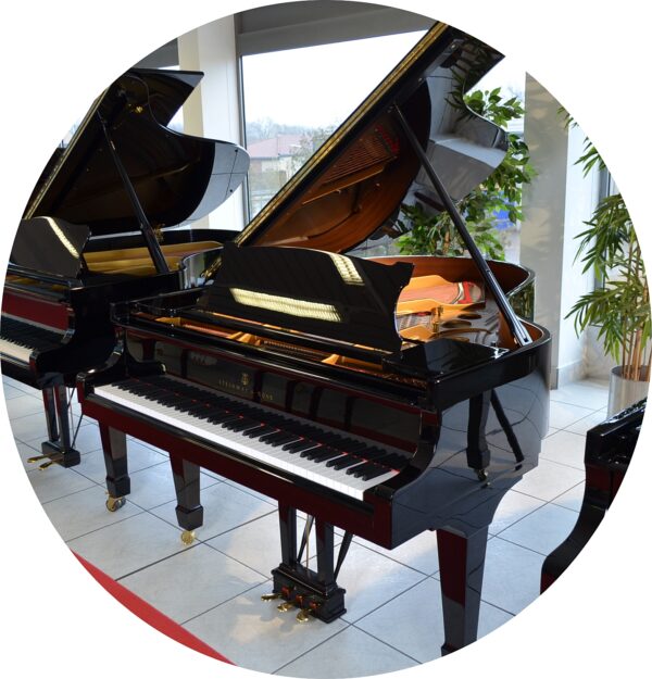 Steinway O 210 323 (19)