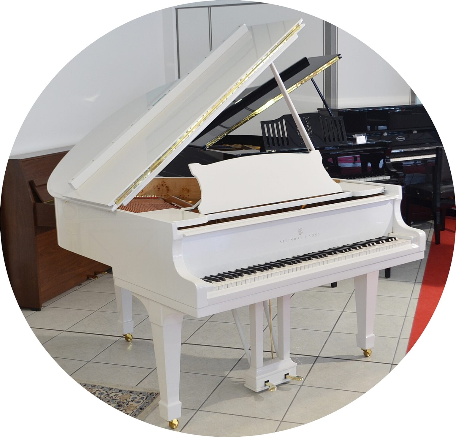 Restaurierter Steinway & Sons Flügel Modell S-155 | Pianohaus Maintal