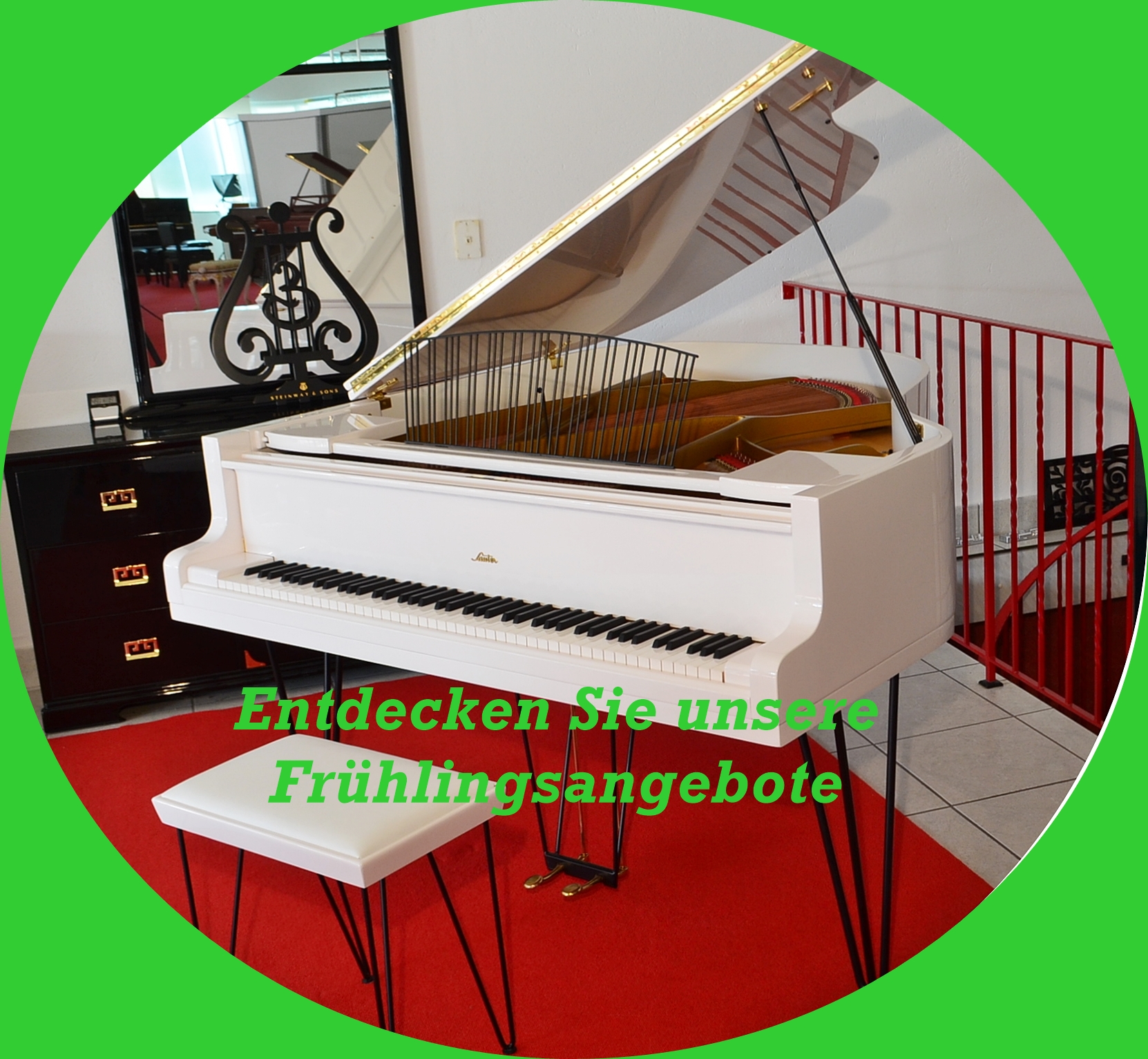Frühlingsangebot
