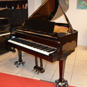 K.Kawai Flügel